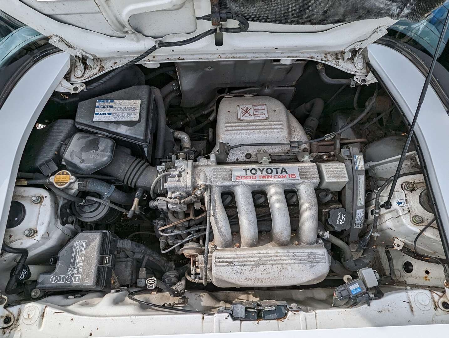 <p>1994 TOYOTA MR2 GT</p>