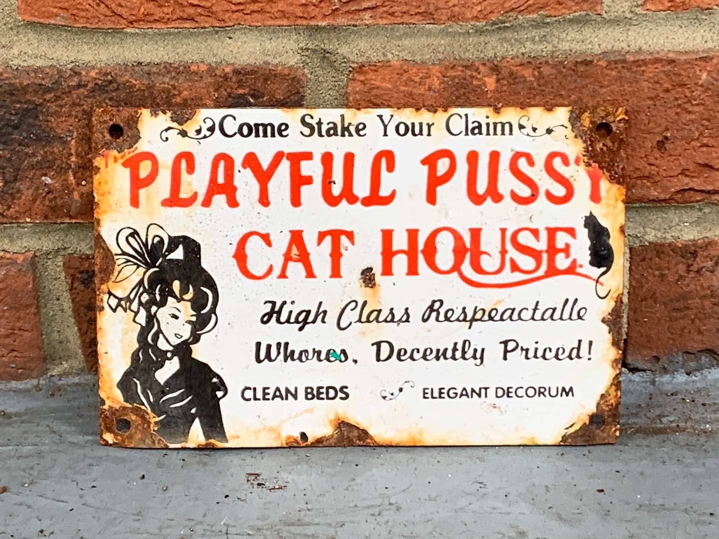 <p>Novelty Small Playful Cat House Enamel Sign&nbsp;</p>